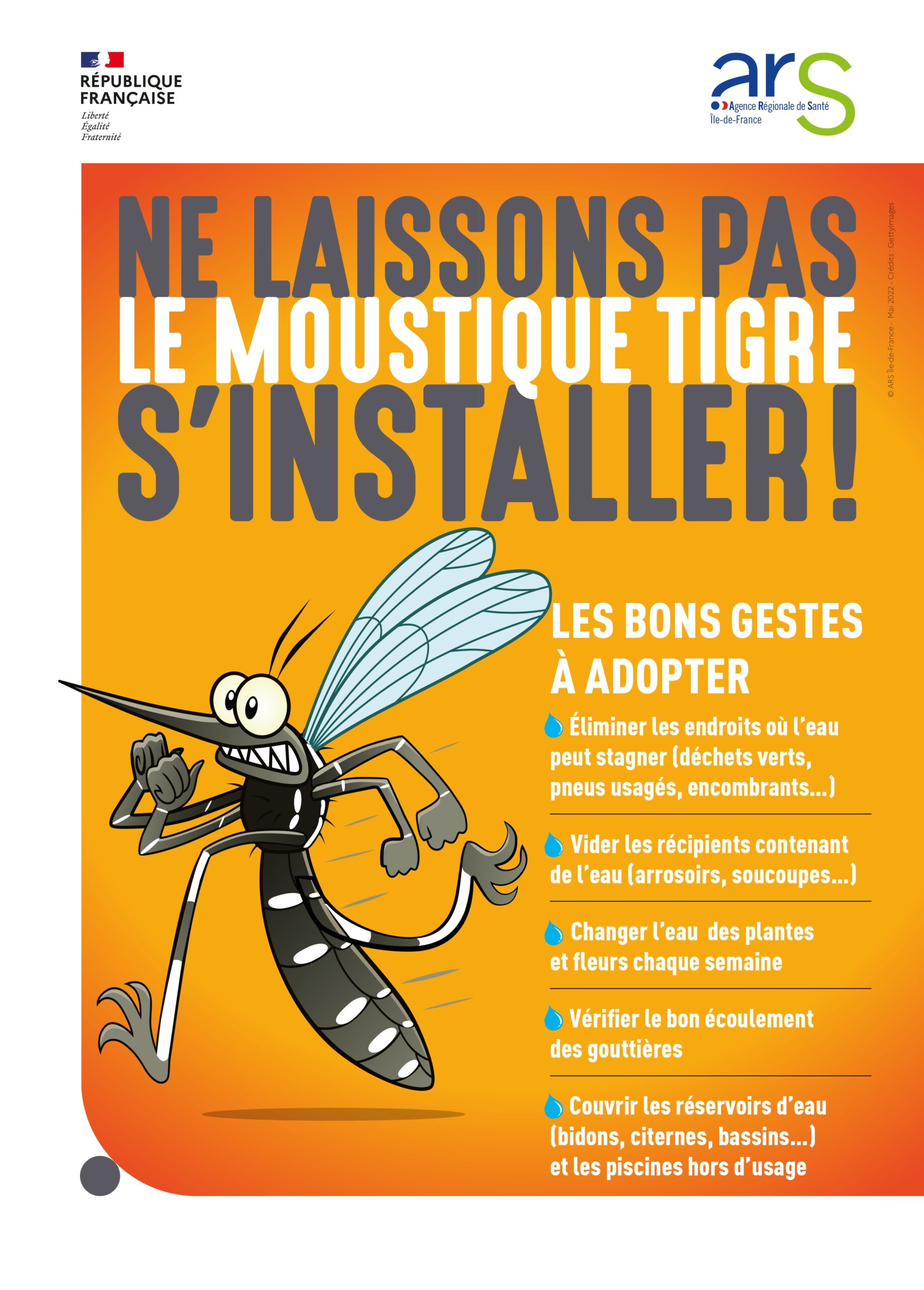 Moustique tigre en IDF